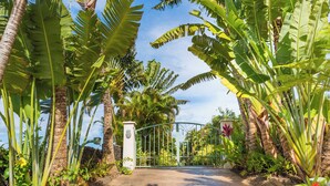 A gated entrance with a palm tree-lined pathway leading to a building. - Beachfront / Oceanfront Private Home  Sleeps 8 (Wailea)