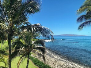 Una playa con palmeras, costa rocosa y cielo azul despejado.
