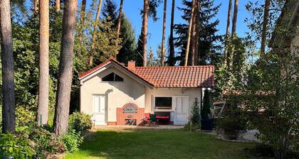 Beach Villa in Pine Forest – King Beds, Wellness & Lakes for up to 11 Guests