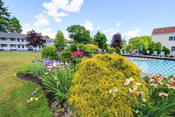 Pool - Sandy Heart: Holiday House M18 (Wells)