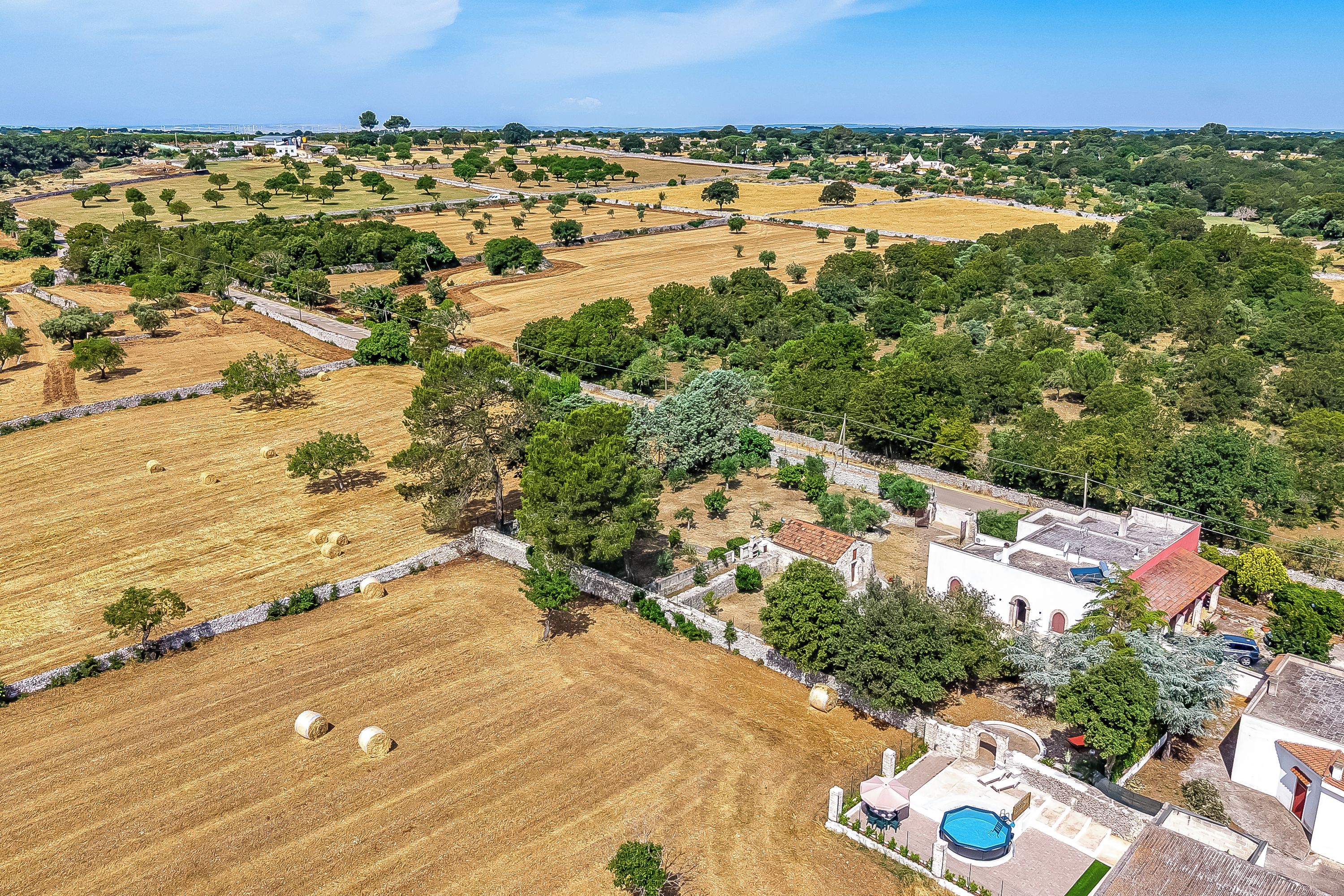 An aerial view of a rural area with fields, trees, and buildings.