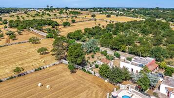 An aerial view of a rural area with fields, trees, and buildings.