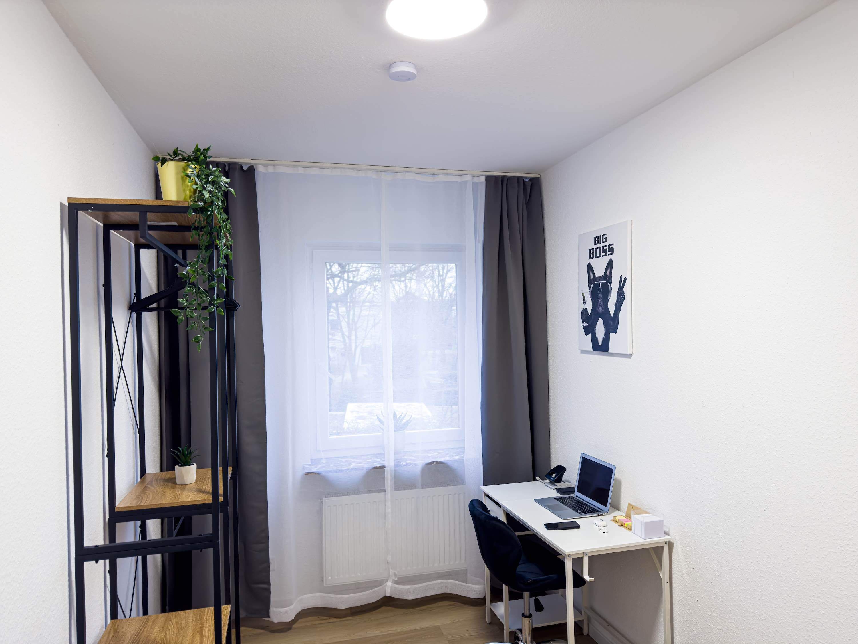 A small office space with a desk, chair, and a radiator. There is a window with sheer curtains and a potted plant on the radiator.