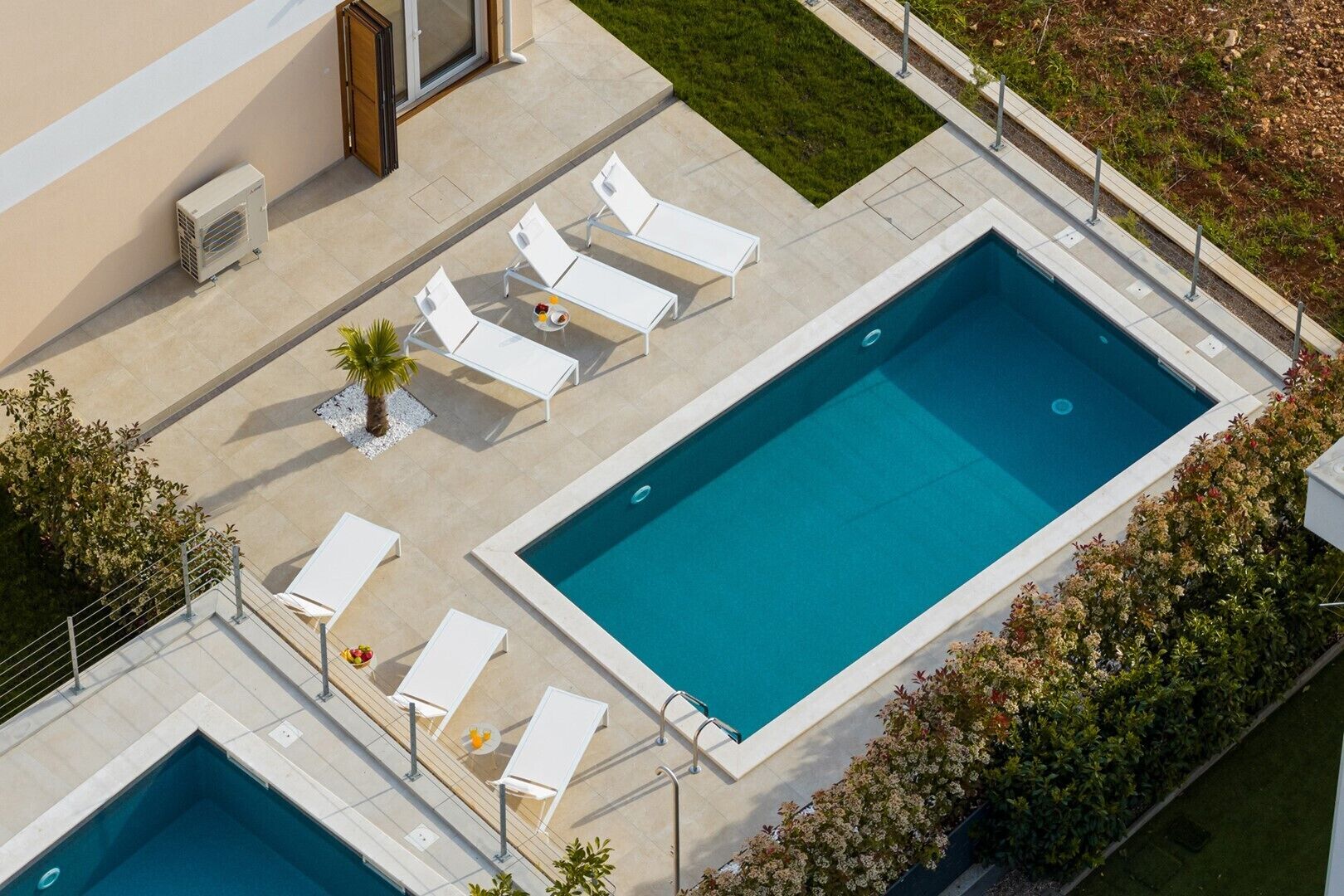 A rectangular swimming pool with white lounge chairs and a palm tree, surrounded by a tiled deck and a low hedge.