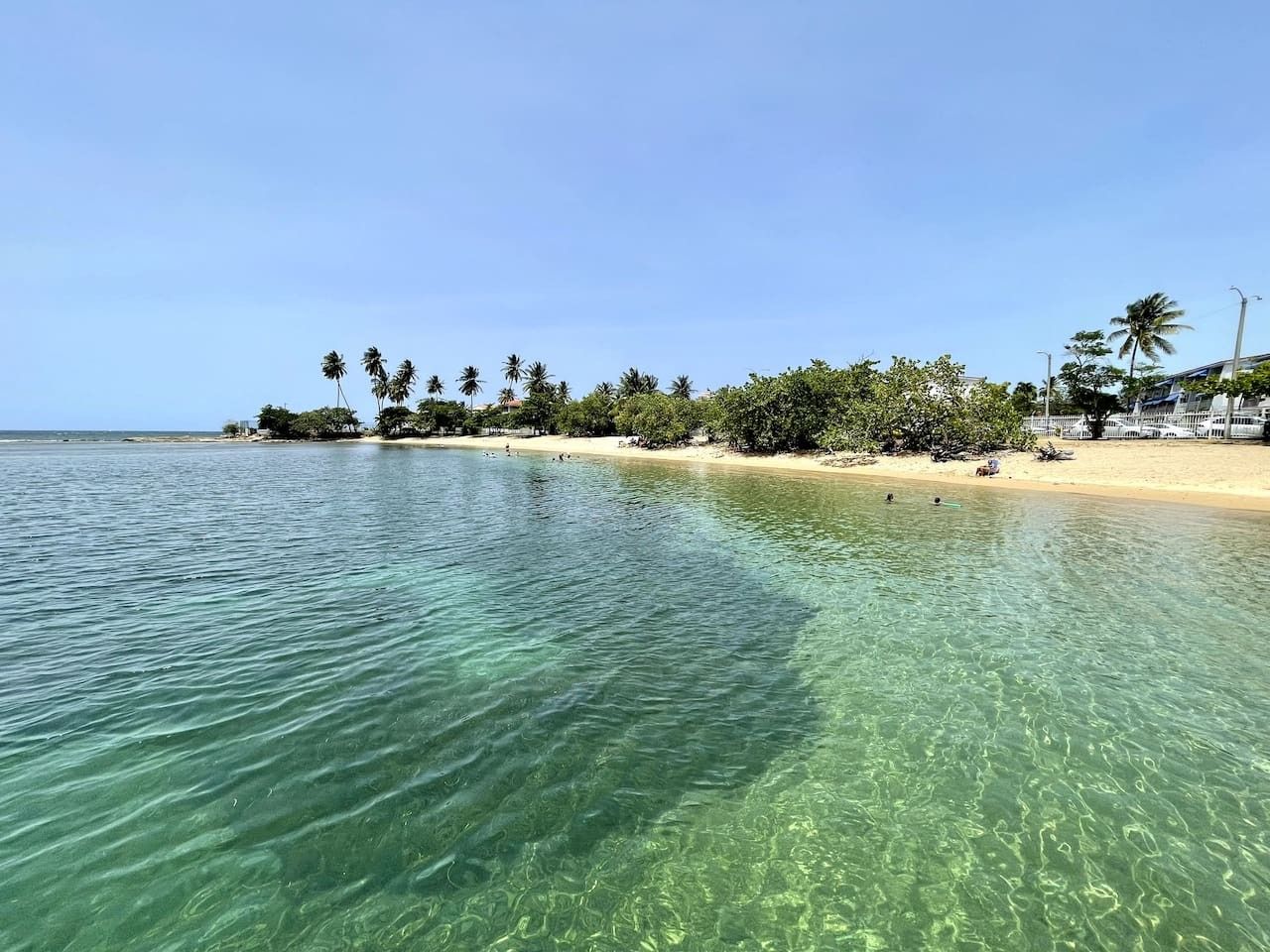 Ein Strand mit klarem Wasser, Palmen und einem sandigen Ufer.