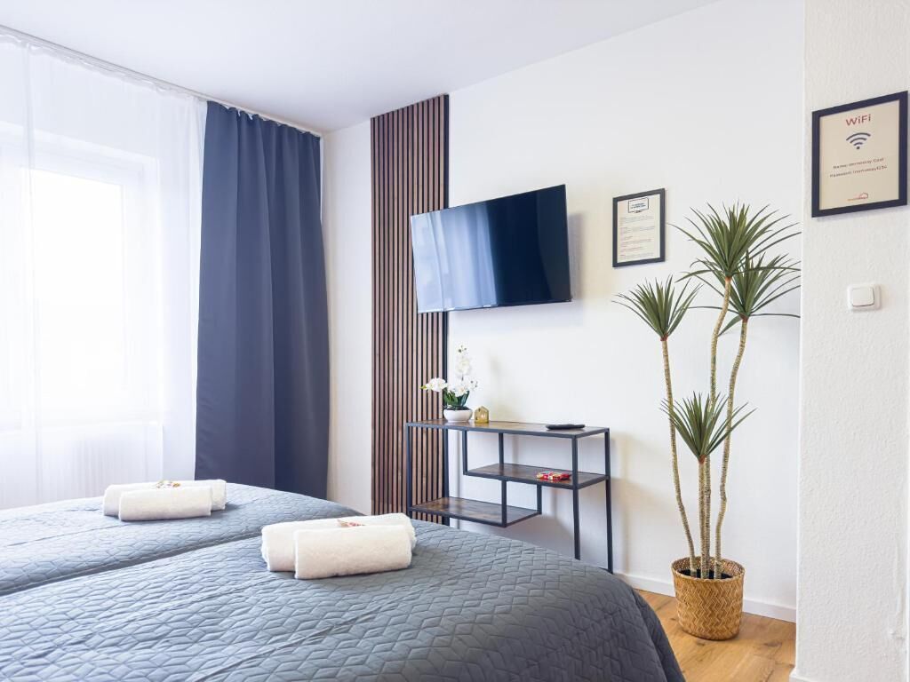 A hotel room with a bed, a TV, a small table, and a potted plant.