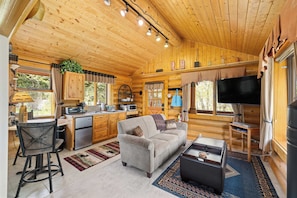 TV, fireplace, DVD player