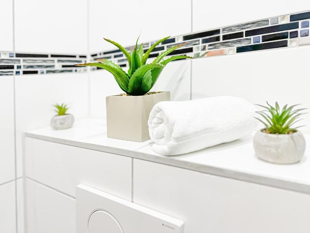 A bathroom with a white vanity, a potted aloe vera plant, a rolled white towel, and a small potted plant.
