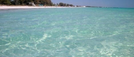 Praia