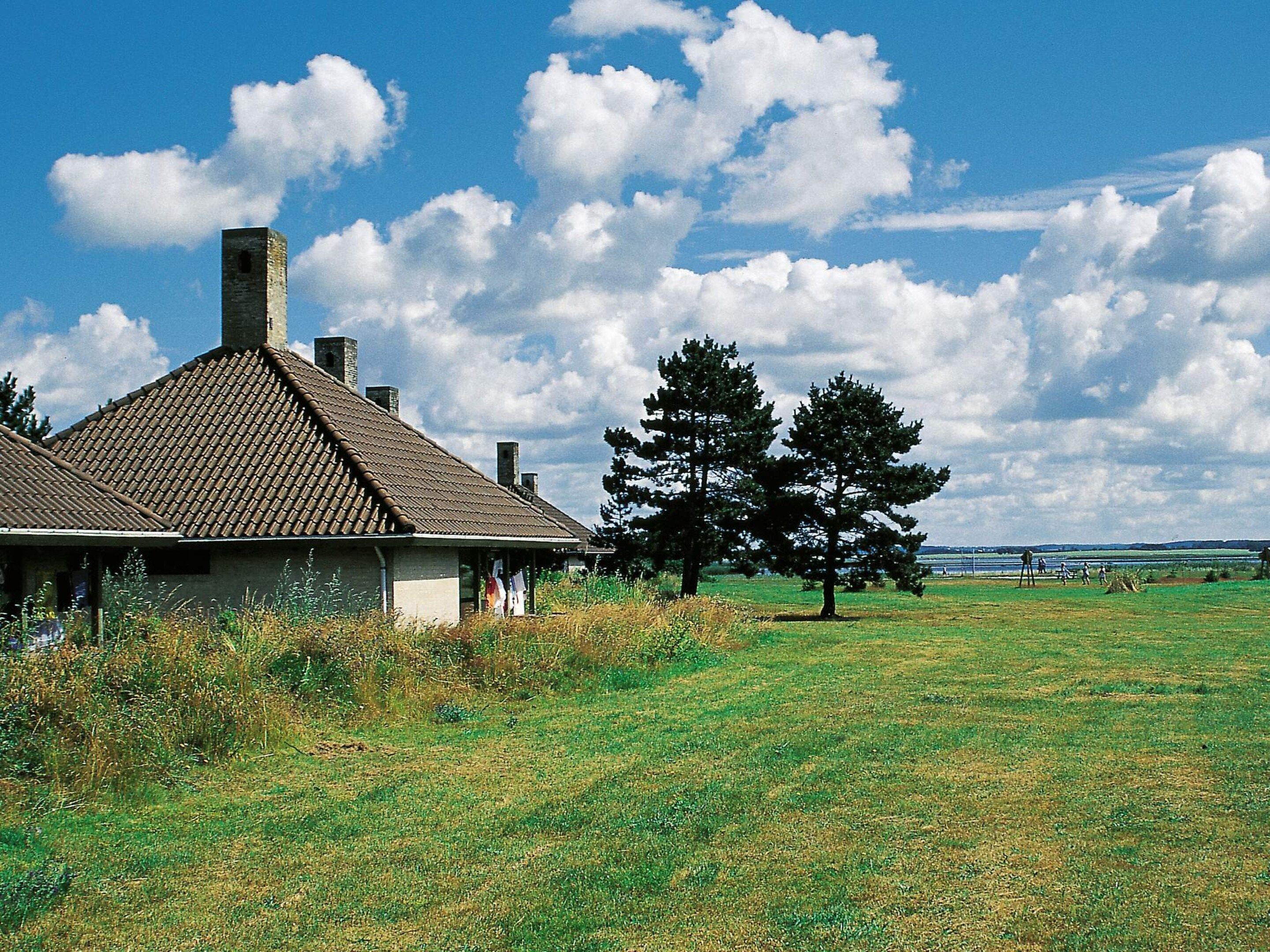 A house with a tiled roof and chimney, surrounded by a grassy field and a large tree.