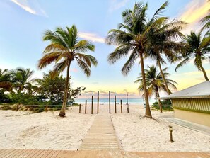 A beach pathway leading to the sea, lined with palm trees and a beach hut. - Villa 10 Villas Flamenco frente al mar (Culebra)