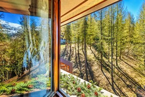 Mountain view - Petit Chalet Pila (Pila)