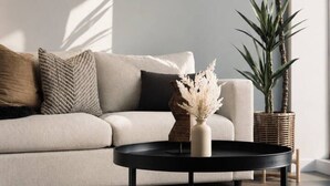Un salon moderne avec un canapé, une table basse, une plante en pot et une horloge murale.