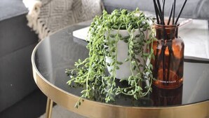 Ett runt soffbord i glas med en brun vas som innehåller gröna växter och svarta doftstickor av rotting.