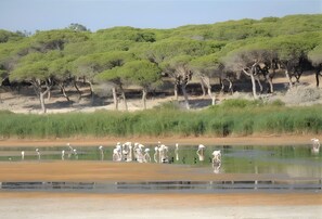 Perto da praia 