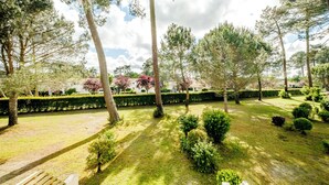 Un jardin bien entretenu, avec différents arbres, des haies soigneusement taillées et un banc en bois.