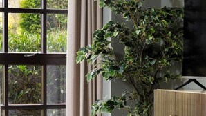 A modern living room with a large window, a potted plant, a TV, and a minimalist furniture set. - Mill Court Escape & Swimming Pool (Dunblane)