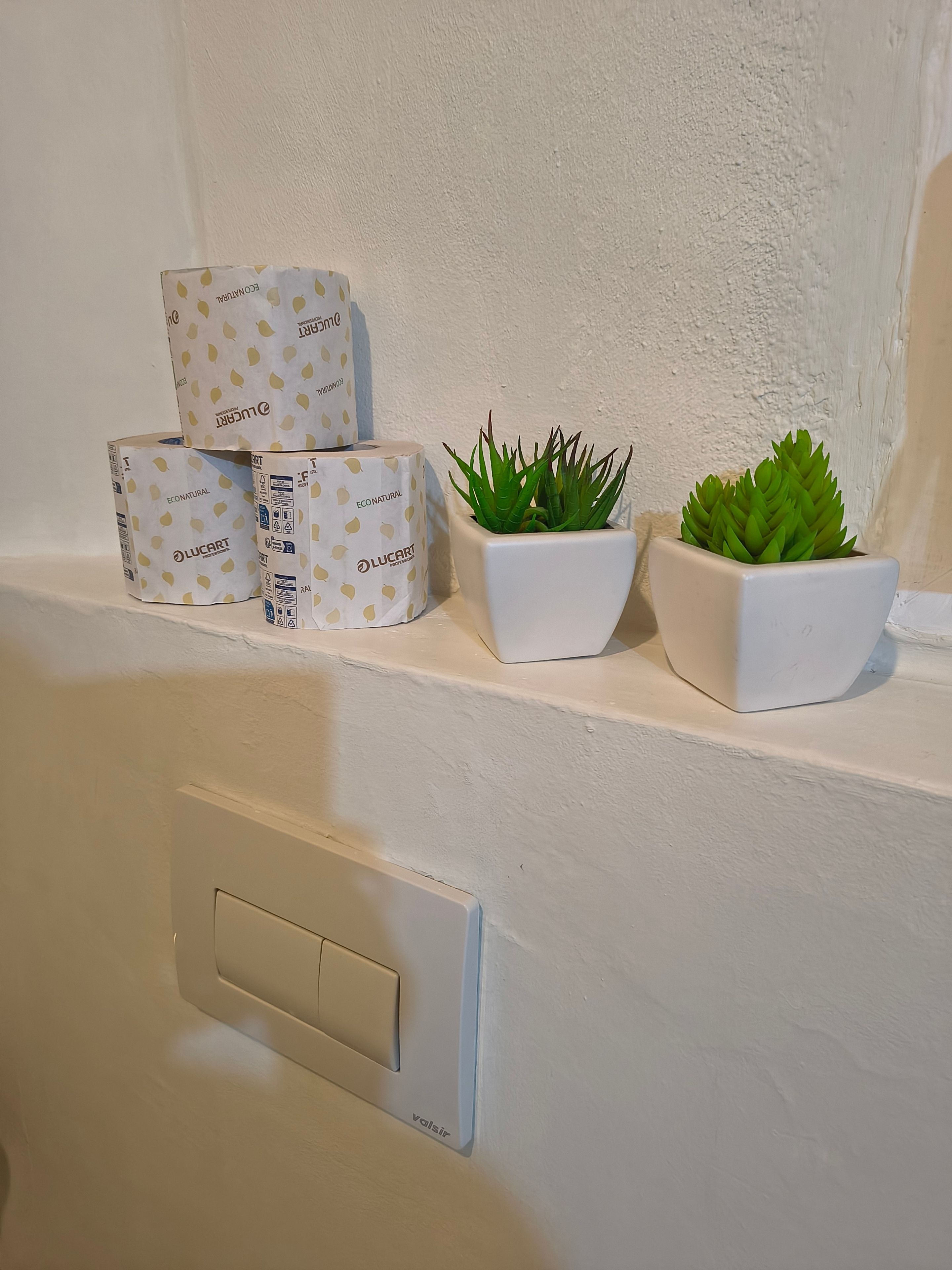 Uma prateleira com caixas identificadas com 'LUCART' e dois vasos brancos com plantas verdes.