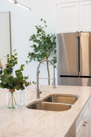A kitchen with a double sink, stainless steel appliances, and a potted plant. - Rosemary District Flat in Downtown Sarasota 3 (Sarasota)