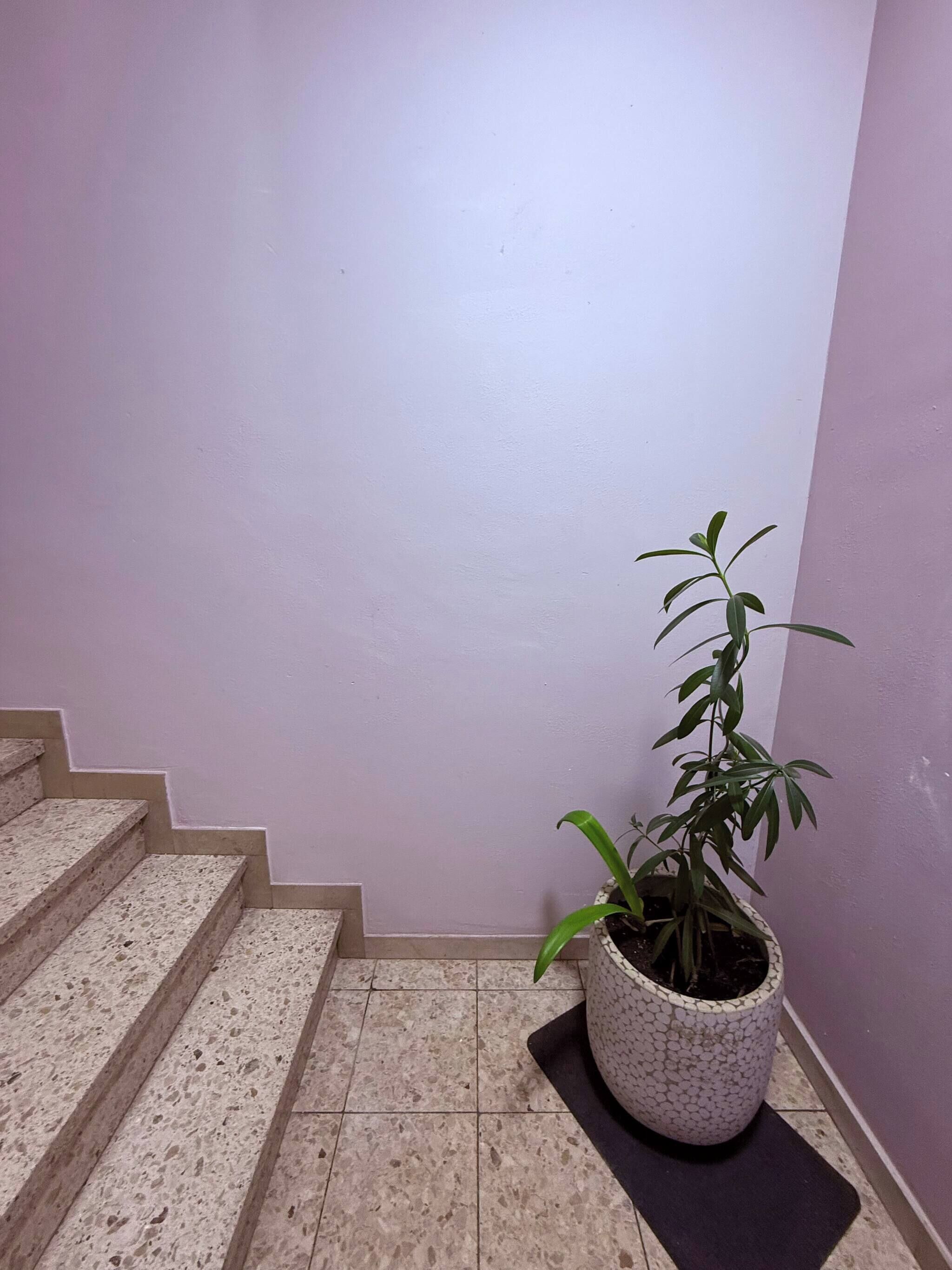 Apartment, 3 Bedrooms, Garden View | Interior