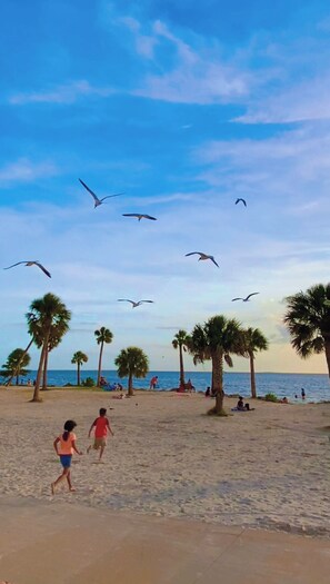 Beach - Relaxing Gulf Coast Apartment Near Beaches • Free Bikes (Tarpon Springs)