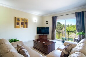 Televisor 