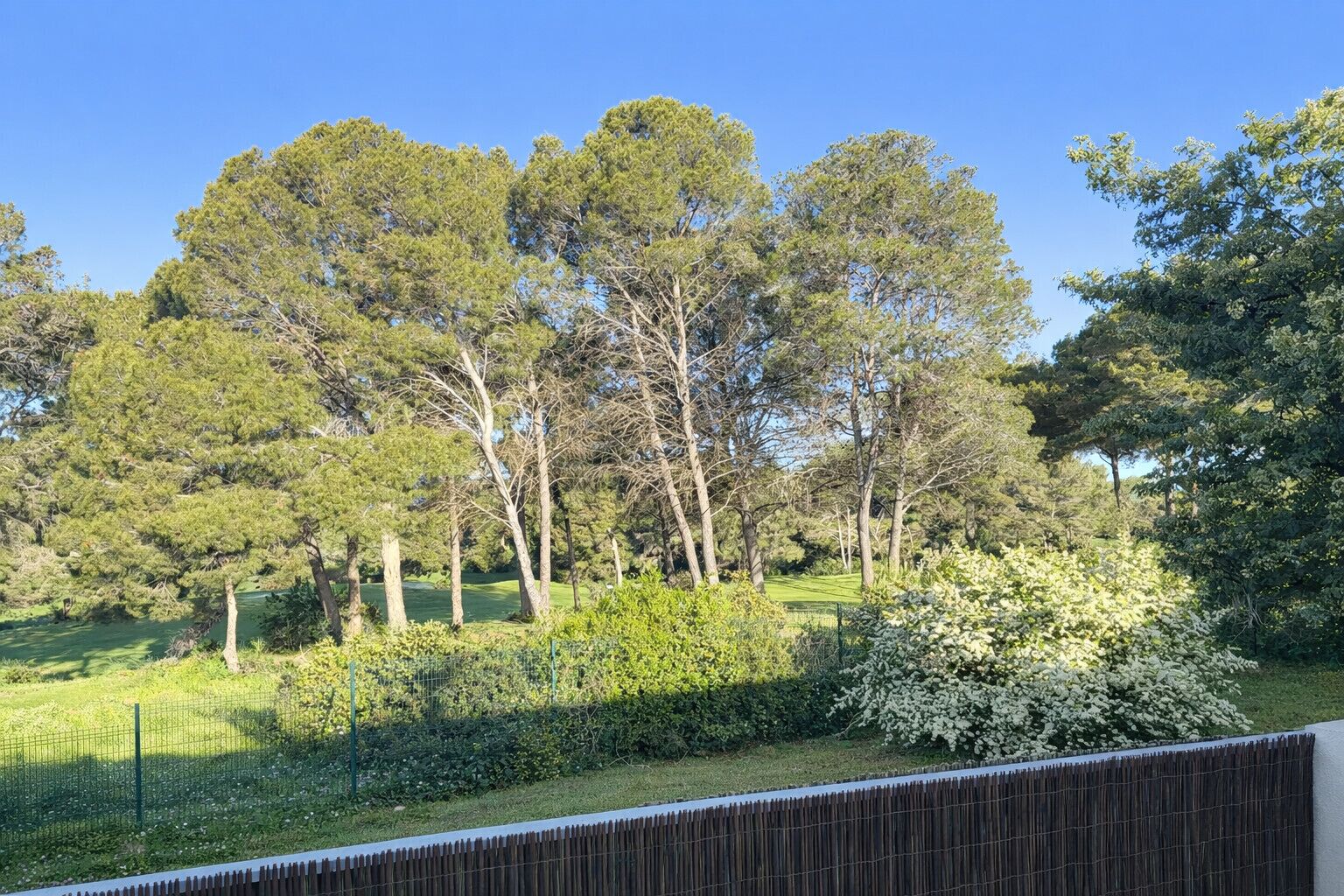 A fenced outdoor area with trees and greenery.