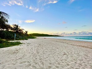 Een strand met heldere lucht, palmbomen en een bord.