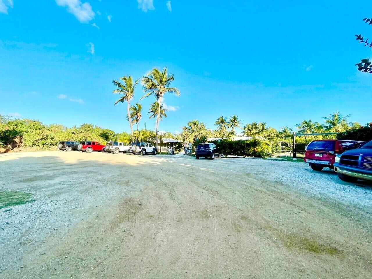 Un área de estacionamiento con varios vehículos, palmeras y un cielo azul despejado.