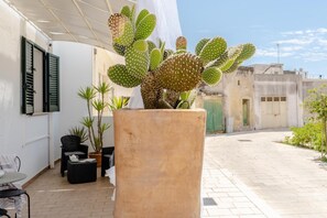 Property grounds - Apartment 'Casa Buongiorno Salento' with Private Terrace, Wi-Fi and Air Conditioning (Patù)
