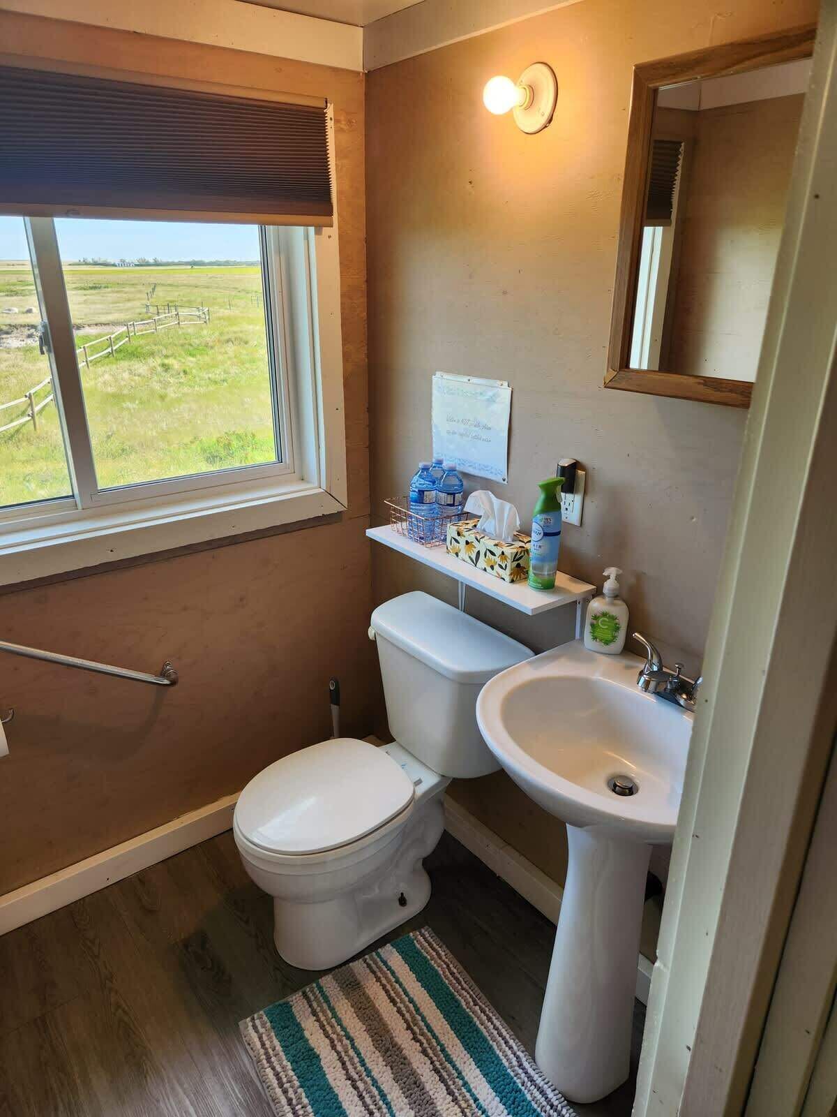 A small bathroom with a toilet, sink, and window.