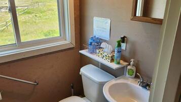 A small bathroom with a toilet, sink, and window.