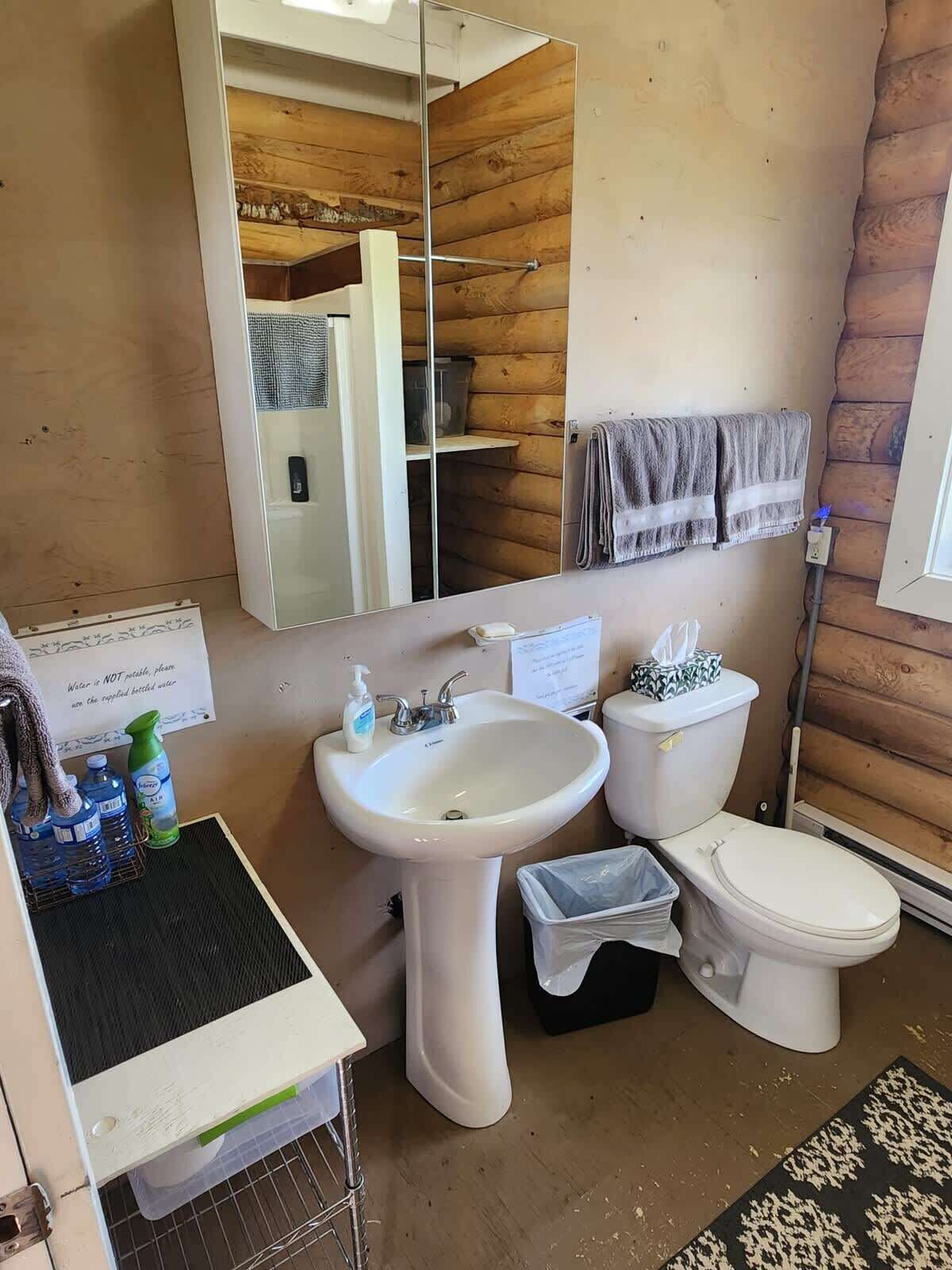 Une salle de bain avec un lavabo, des toilettes et un miroir. Il y a un panneau sur le mur et un porte-serviettes.