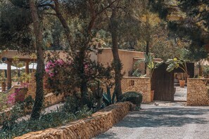 A courtyard with stone walls, a wooden gate, and various plants.