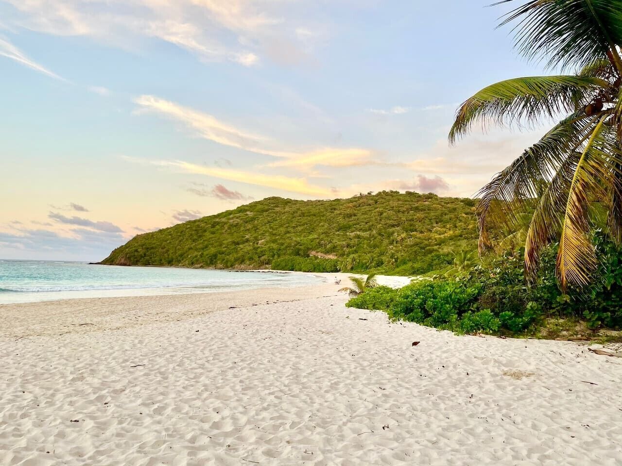 A beach with white sand, a palm tree, and a hill in the background.