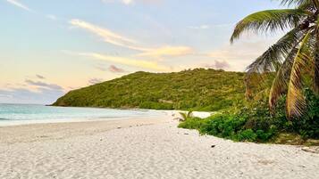 A beach with white sand, a palm tree, and a hill in the background.