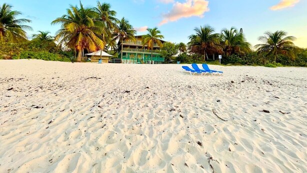 Ein Strand mit einem Gebäude und Palmen.
