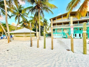 A beachside hotel with a two-story structure, a covered seating area, and palm trees. - Villa 12 Flamenco Beachfront Villas (Flamenco)
