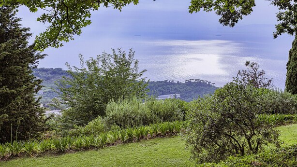A lush green landscape with a view of the sea and distant hills. - Camogli Sea and Valley View by Wonderful Italy (Camogli)
