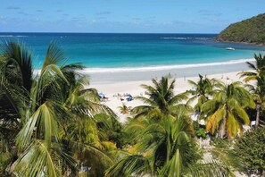 Ein Strand mit Palmen, sandigem Ufer und Blick auf den Ozean.