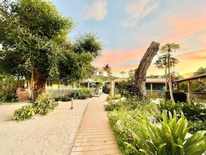 A pathway leading to a building with a wooden deck, surrounded by lush greenery and trees. - Villa 14 Flamenco Beachfront Villas (Flamenco)