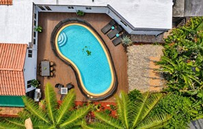 An outdoor swimming pool with a wooden deck, surrounded by tropical plants and a brick wall. - 4BR Home • Private Pool • Tiki Lounge (Hollywood)