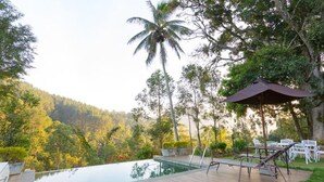 A swimming pool with a wooden deck, lounge chairs, and a palm tree.