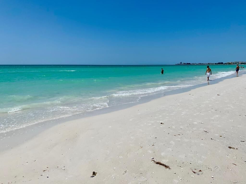 Vlak bij het strand, wit zand, vissen