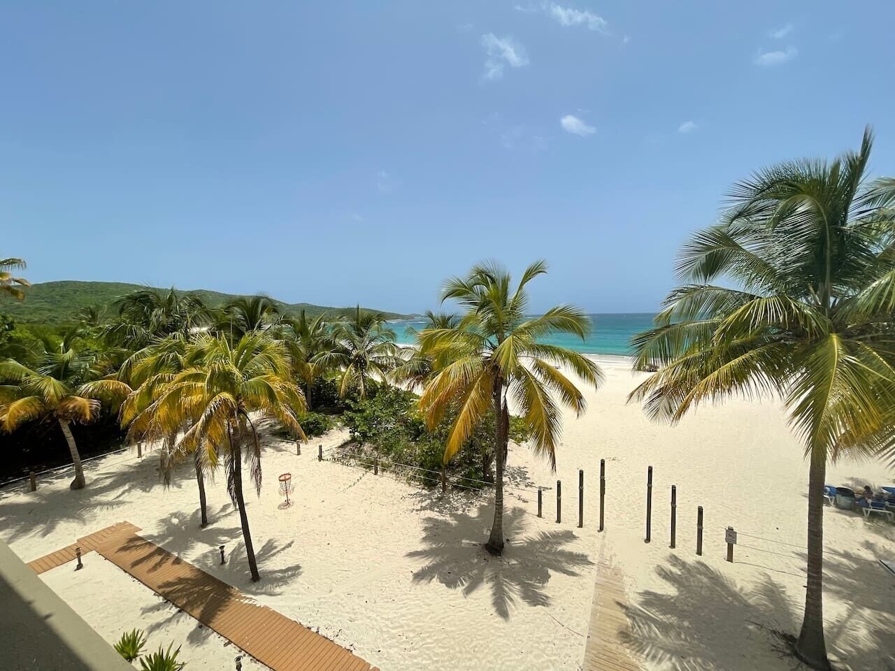 A beach with palm trees, a sandy path, and a view of the ocean.