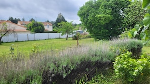 Property grounds - House near futuroscope (Beaumont Saint-Cyr)