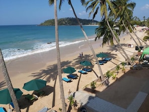 A beach with palm trees, a sandy shore, and umbrellas.