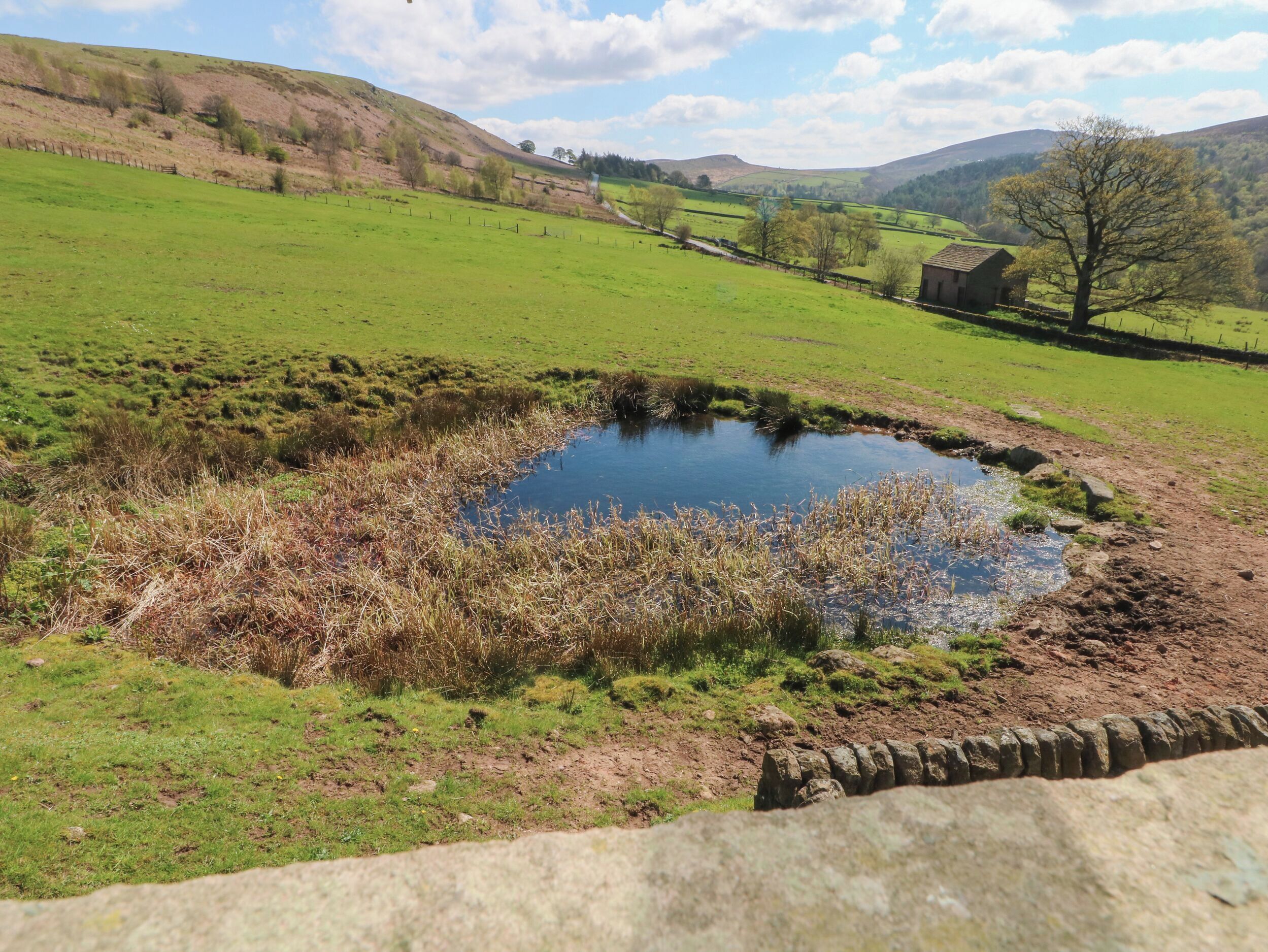 A rural landscape with a pond, green fields, and a stone wall.
