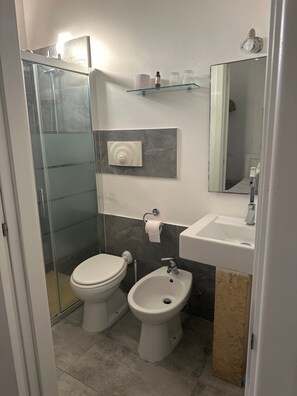 Ducha, secador de pelo y toallas