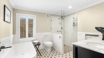 Shower, hair dryer